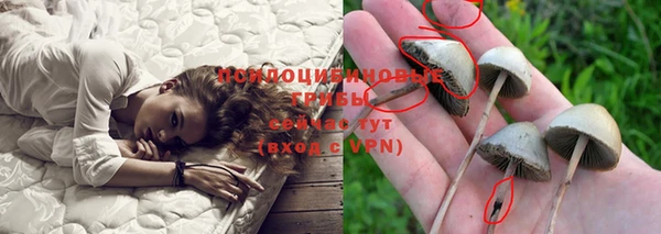 MESCALINE Ивангород