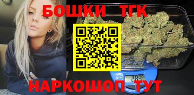 СК Дубна