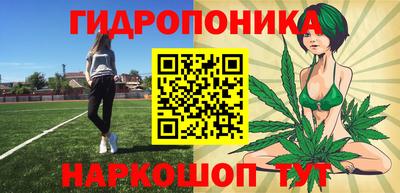 СК Дубна