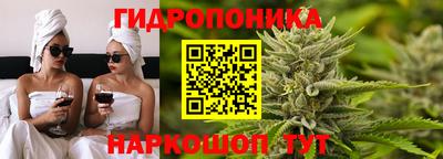 СК Дубна