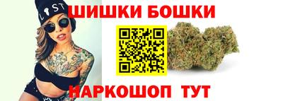 СК Дубна