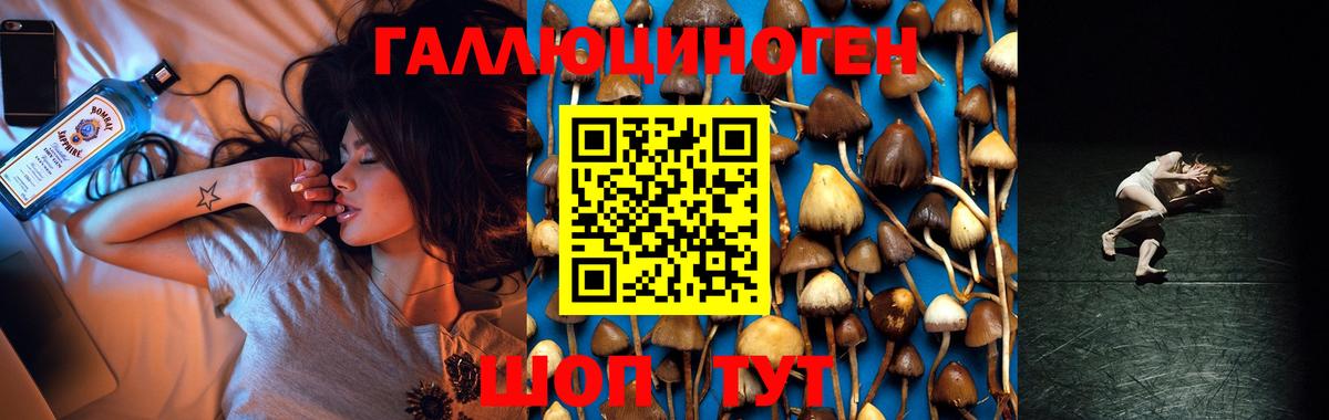 Псилоцибиновые грибы MAGIC MUSHROOMS  Вход с VPN  Малоярославец 